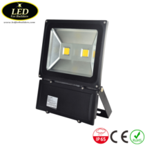 100 watt Flood Light