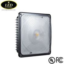 LED Canopy Light